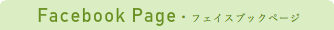 Facebook Page