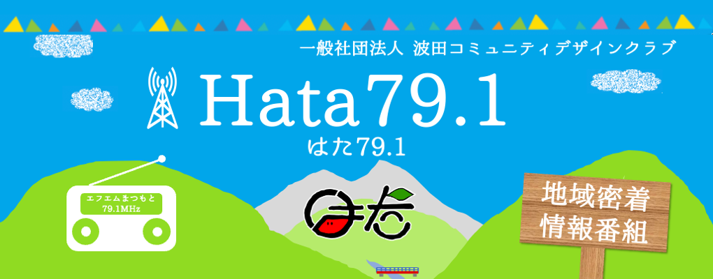 Hata791